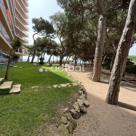 Cavall Bernat 84 Platja d'Aro