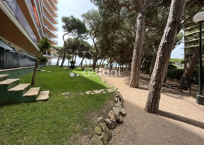 Cavall Bernat 84 Castell-Platja d'Aro