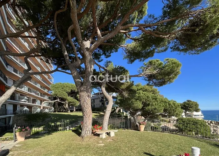 Cavall Bernat 84 * Castell-Platja d'Aro