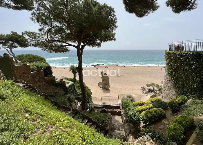 Cavall Bernat 84 * Castell-Platja d'Aro